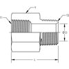 World Wide Fittings Female Pipe to Male Pipe Expander 3209X04X06